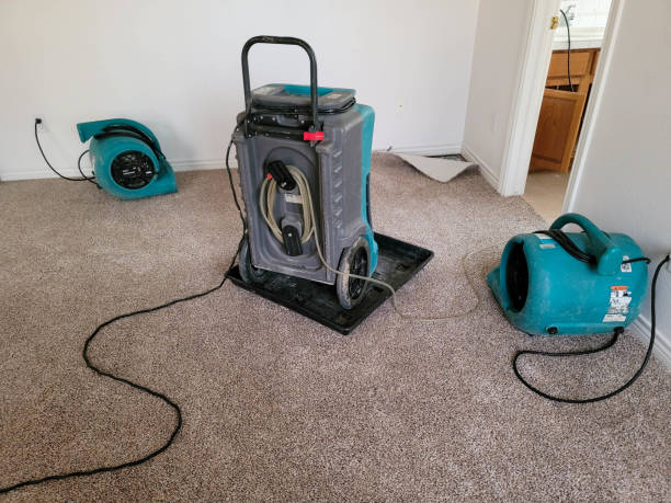 Best Residential water damage restoration  in Meridianville, AL