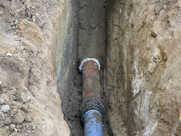 Best Basement water damage restoration  in Meridianville, AL
