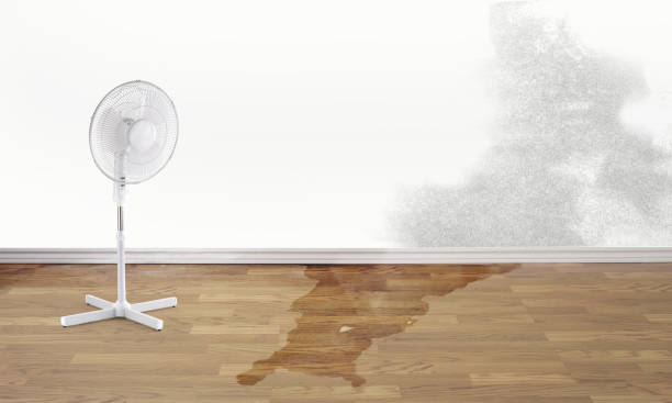 Best Water damage repair service  in Meridianville, AL