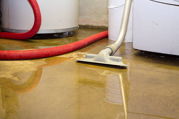 Best Water damage restoration near me  in Meridianville, AL