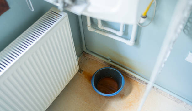 Best Water damage restoration near me  in Meridianville, AL