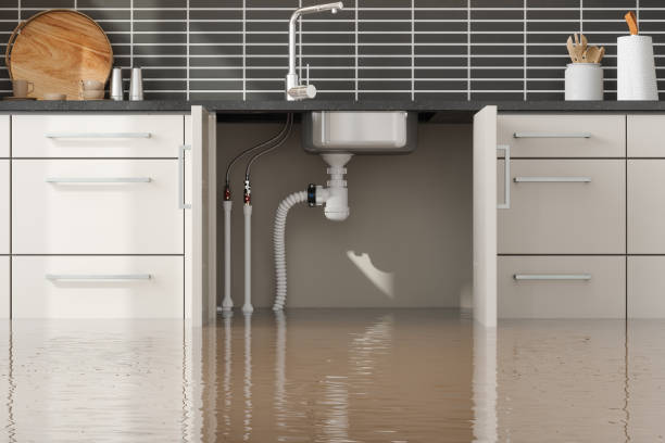 Best 24/7 water damage repair  in Meridianville, AL