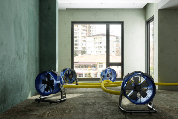 , AL Water damage restoration Company