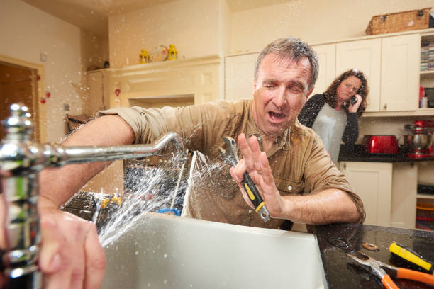 Best Flood damage cleanup  in Meridianville, AL